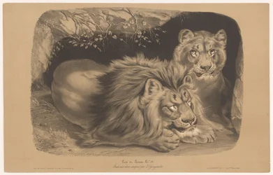 lev a lvice Lion et Lionne (název na objektu) Studie na zvířatech ve dvou typech křídy (název série) Etude aux deux pastelky par Z. Gengembre (název série na předmětu)