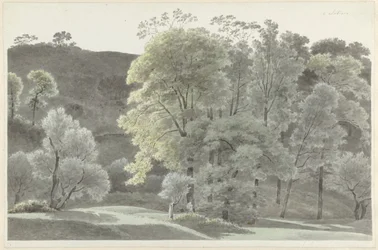 Stromy kolem Subiaco