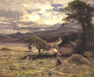 Hayfield poblíž Llandudno