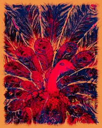 Bahaullahův zlatý páv, 2016