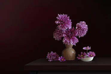 Kytice „Moody Dahlia“