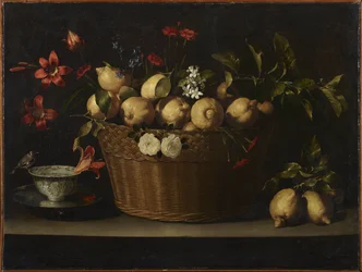 Zátiší s citrony v proutěném koši, kolem roku 1643-1649