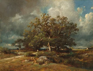 Starý dub, asi 1870 (olej na plátně)