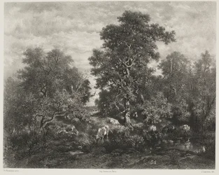 Rybník podle Théodora Rousseaua (1812-67)