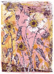 son sine sole iris, 2016 (sítotisk)
