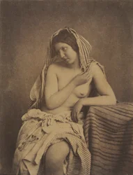 Studium po přírodě, c. 1853-1855.