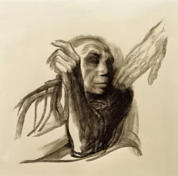 Käthe Kollwitz, Volání smrti