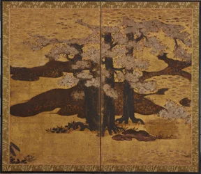 Kvetoucí třešně, období Edo, cca 1580-1635.