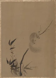 Veverka na bambusu, ca. 1650.