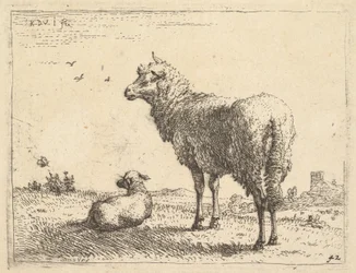 Dospělá ovce v tříčtvrtečním pohledu stojí a dívá se doleva, vedle ní leží jehně..., ca. 1655.