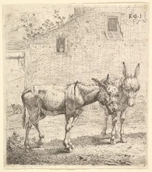 Dva osli stojící na travnatém dvoře, jeden v pohledu z profilu vpravo a druhý za..., 1652.
