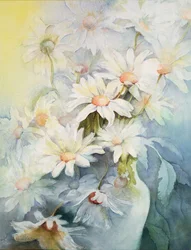 Chryzantéma, Snowcap