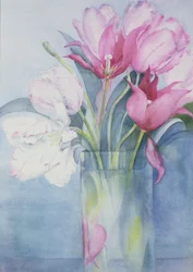 Růžový papoušek tulipány a Marlette
