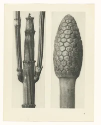 plánovat studii Archetypy umění (název série)