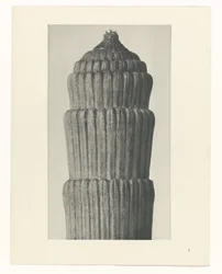 Plánová studie, Equisetum hiemale Archetypy umění (název série)