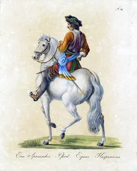 Španělský kůň (tisk)