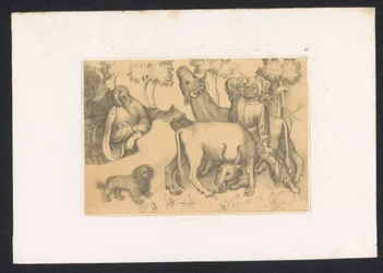Paulus van Thebe je známý se dvěma ossens Návrhy a studie holandského mistra z 15. století. Století. Na základě originálů uchovávaných v Královské knihovně v Berlíně (název série)