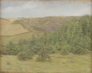 Svanninge Hills, Funen