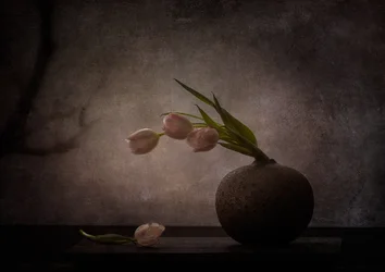 Elegantní melancholické tulipány