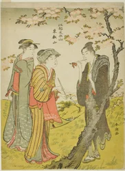 Toei Hill (Toeizan), ze série "Pět kopců Edo (Koto no gozan)"