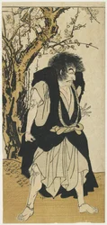 Ichikawa Danjuro V jako Temonk Wantetsu
