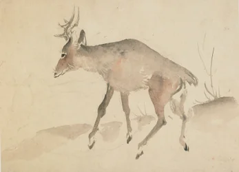 Jelen, konec 18.-začátek 19. století.