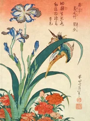 Ledňáček, Iris and Pinks, hospoda. od Nishimura Eijudo, kolem roku 1832, jeden ze sady deseti tisků, (velikost chuban, barevný dřevěný blok)