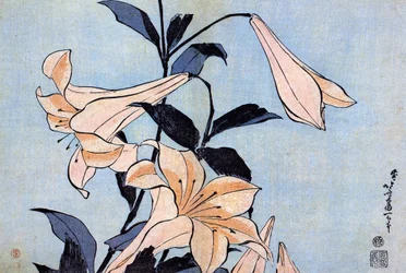 Katsushika Hokusai (1760-1849) (Eco-Ukiyo-e) Vers 1830 S Tate A Shokin no Sewum výtvarného umění a školy