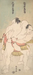 Tesmo W Respiratory Syncyt Wada Kawahara Human White Plan d Kacho Remaining Base, že? 1783.