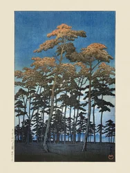 Park Hikawa v Omiji (1930) od Kawase Hasuiho a Watanabeho Shozabura