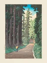 Nikko Gaido (Cesta do Nikka) (1930)