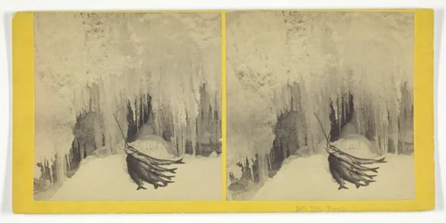 Trout, 185575. Tvůrci: Kilburn Brothers, BW Kilburn.