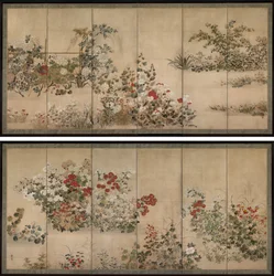 Květiny a trávy
