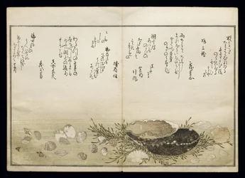Shiohi no tsuto (Dary odlivu), známá jako Kniha mušlí, 1789 (barevný dřevoryt)