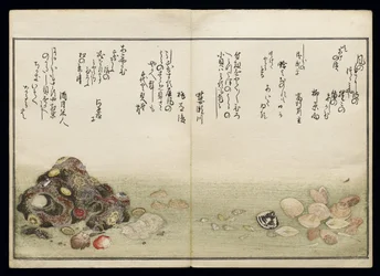 Shiohi no tsuto (Dary odlivu), známá jako Kniha mušlí, 1789 (barevný dřevoryt)