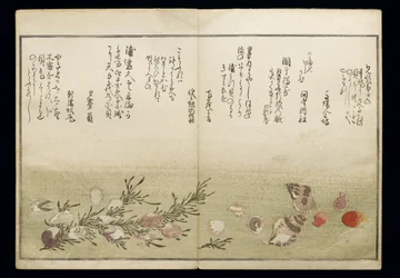 Shiohi no tsuto (Dary odlivu), známá jako Kniha mušlí, 1789 (barevný dřevoryt)