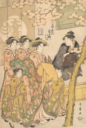 Oiran Kasugano z Ogiya na přehlídce pod kvetoucími třešněmi, ca. 1788.