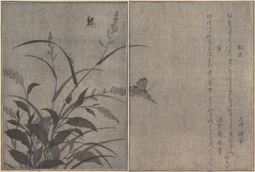 Stromový kriket Matsumushi, Firefly Hotaru..., 1788.
