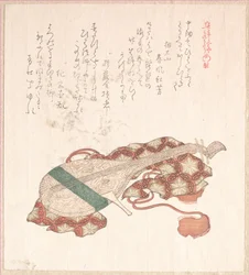 Biwa, japonská loutna, s pouzdrem