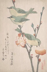 Japonští bělookí na větvi broskvoně,..., ca. 1805-10.