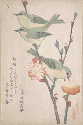 Japonští kruhoočci na větvi broskvoně, ze série Sbírka ptáků (Tori awase), z alba surimono Jarní déšť (Harusame surimono-jō, sv. 3)