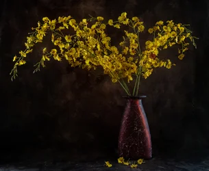 Zátiší se zlatou orchidejí