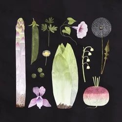 Veggies and Blooms, 2023 (digitální)