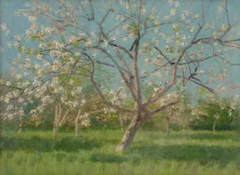 Sadové stromy v květu, 1900-10