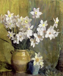 Narcis (pastel na papíře)