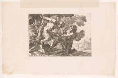 Marsyas porodila Apolla