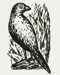 Bird (cca 1891–1941)