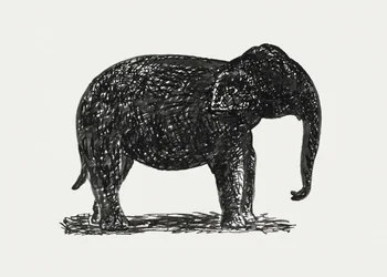 Elephant (cca 1891–1941)