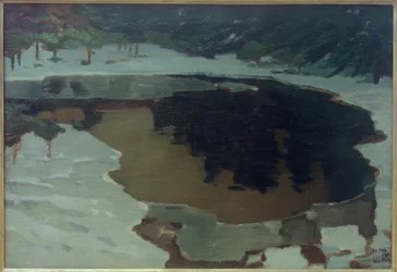 Jezero na vřesovišti v zimě
