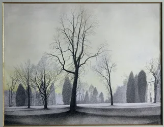 Park, stromy